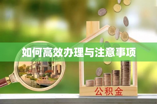 柯坪如何高效办理与注意事项