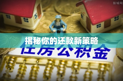 柯坪揭秘你的还款新策略