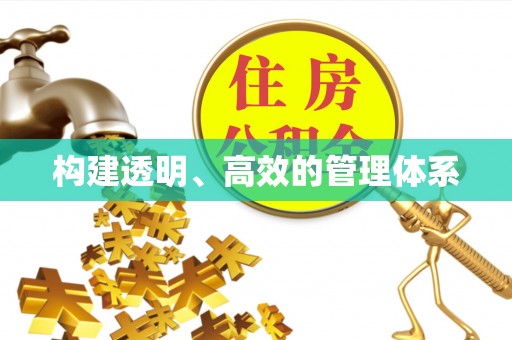 柯坪构建透明、高效的管理体系