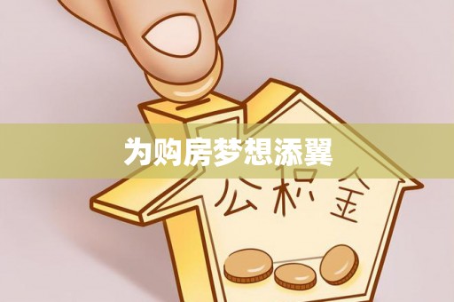 柯坪为购房梦想添翼