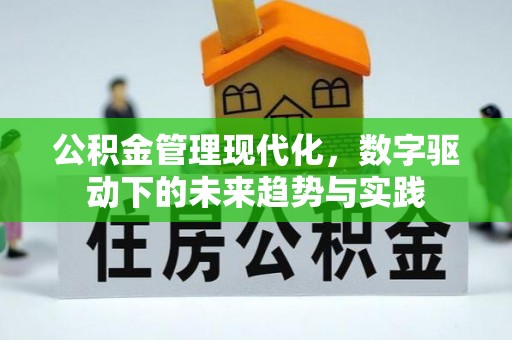 柯坪公积金管理现代化，数字驱动下的未来趋势与实践