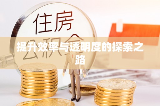 柯坪提升效率与透明度的探索之路