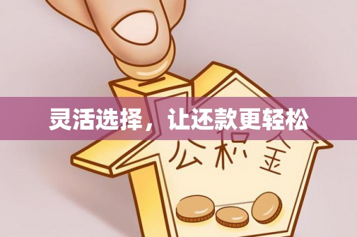柯坪灵活选择，让还款更轻松