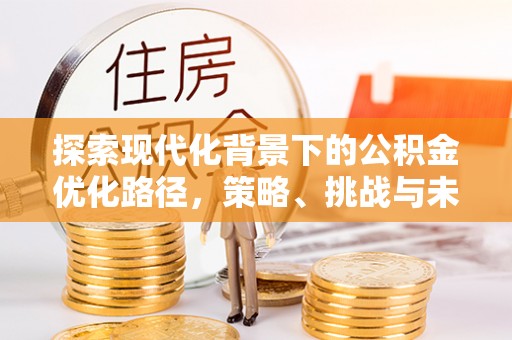 柯坪探索现代化背景下的公积金优化路径，策略、挑战与未来展望