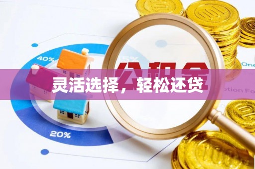 柯坪灵活选择，轻松还贷