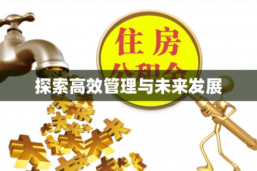 柯坪探索高效管理与未来发展