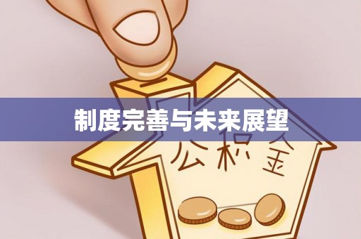 柯坪制度完善与未来展望