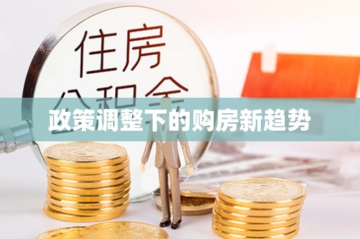 柯坪政策调整下的购房新趋势