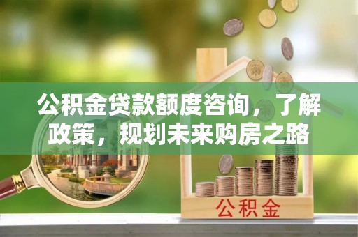 柯坪公积金贷款额度咨询，了解政策，规划未来购房之路
