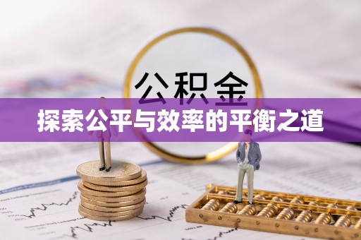 柯坪探索公平与效率的平衡之道