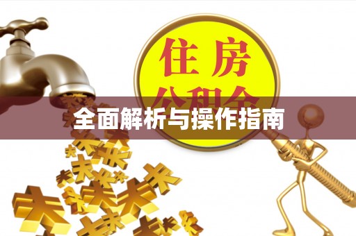 柯坪全面解析与操作指南