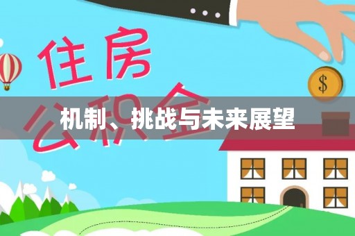 柯坪机制、挑战与未来展望