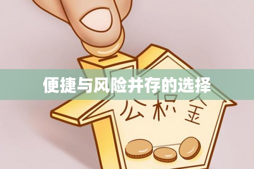 柯坪便捷与风险并存的选择