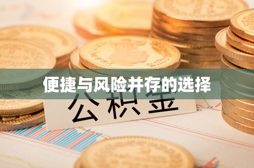 柯坪便捷与风险并存的选择
