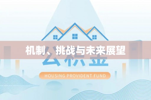 柯坪机制、挑战与未来展望